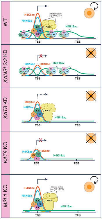 Figure 7.