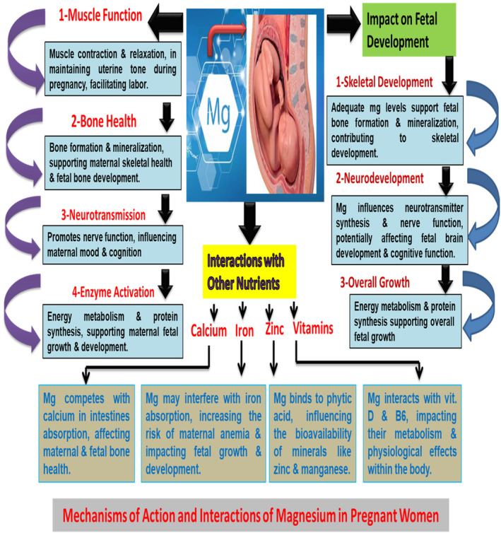 FIGURE 2