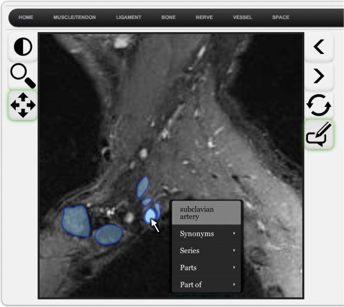 Figure 4c