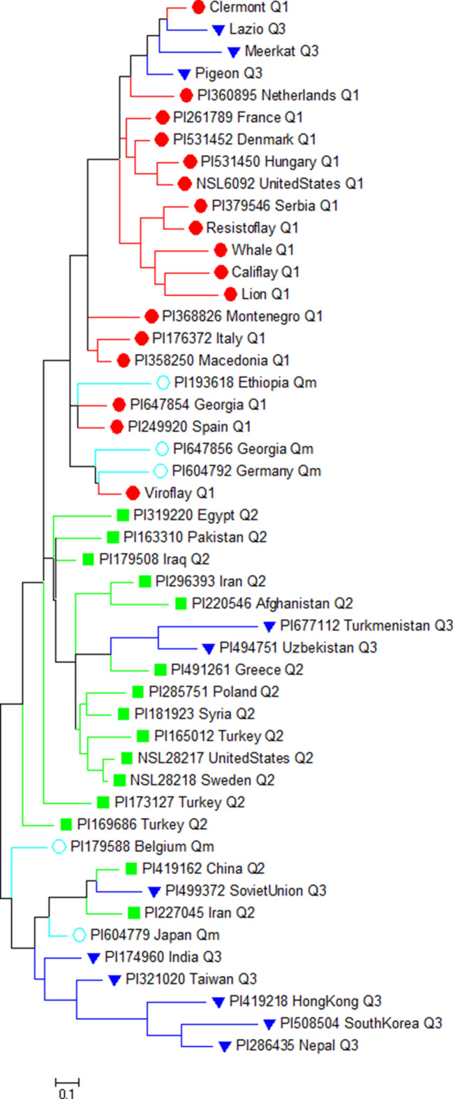 Figure 7