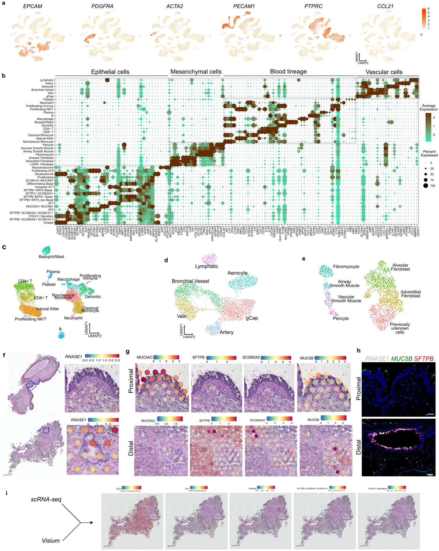 Extended Data Fig. 2