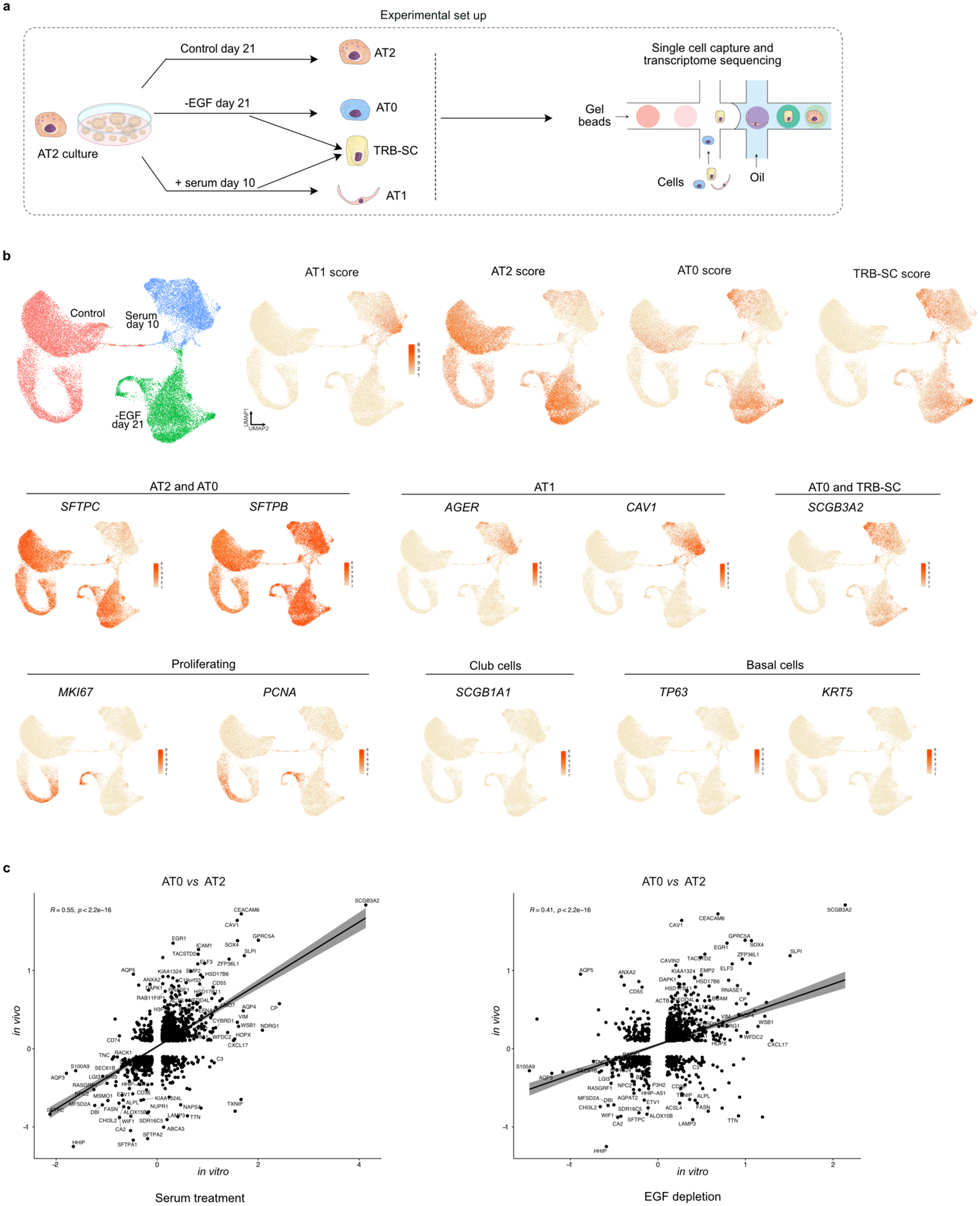 Extended Data Fig.12.