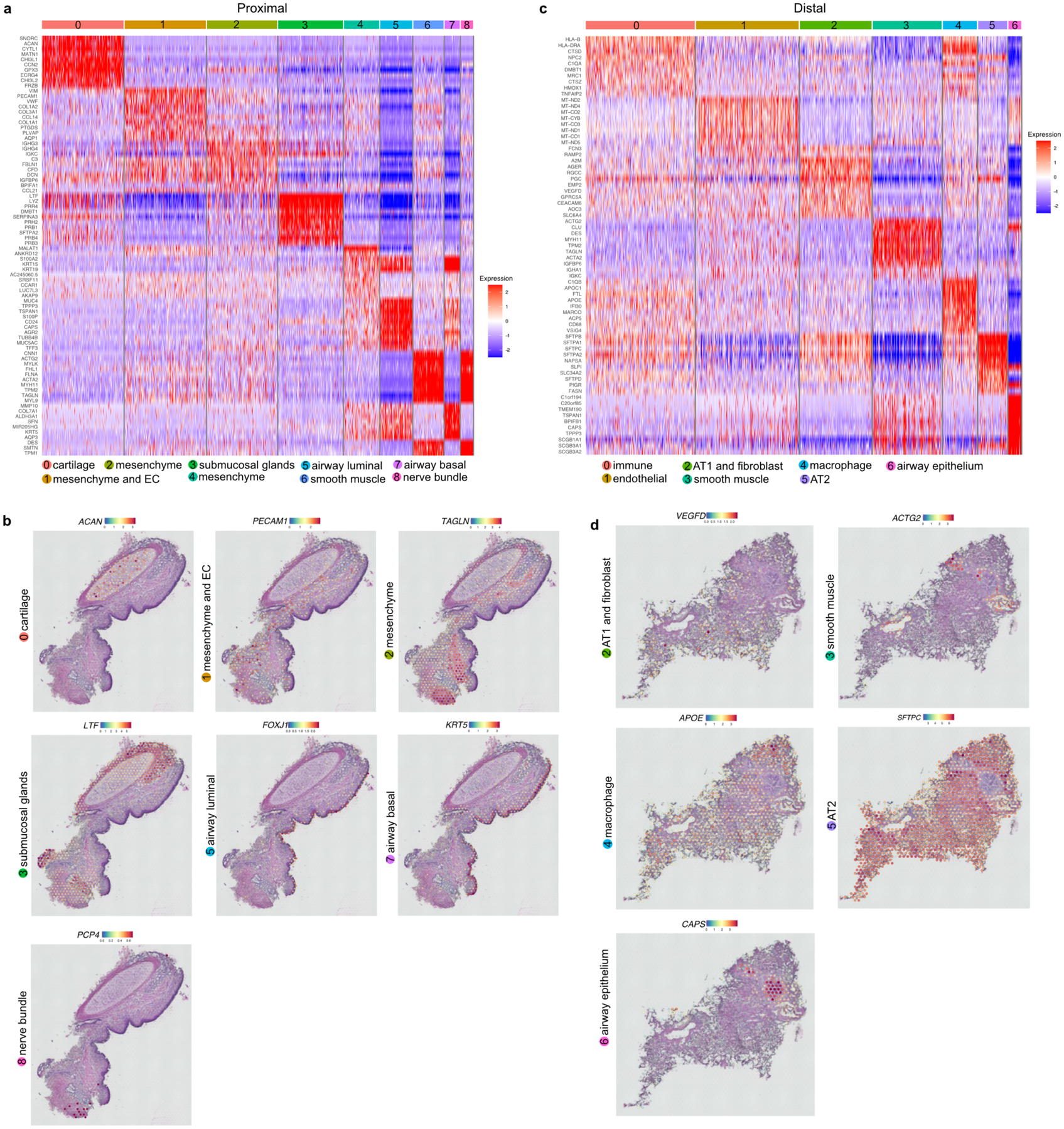 Extended Data Fig. 1.