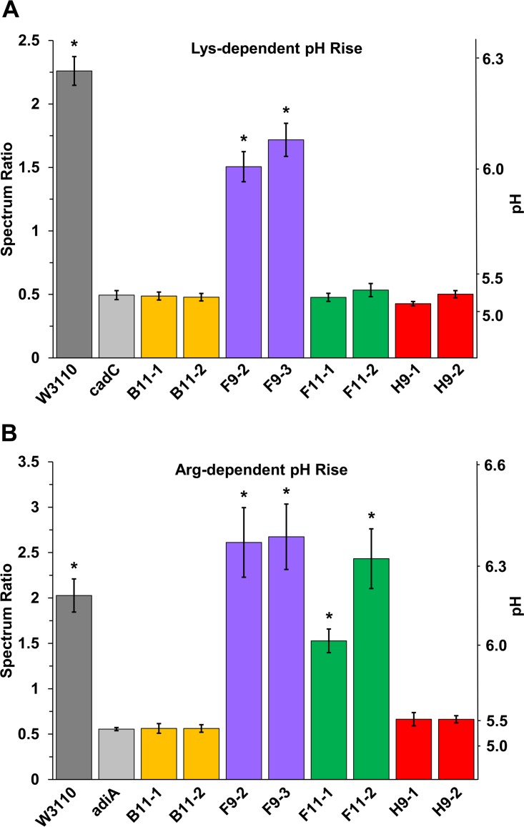 FIG 1