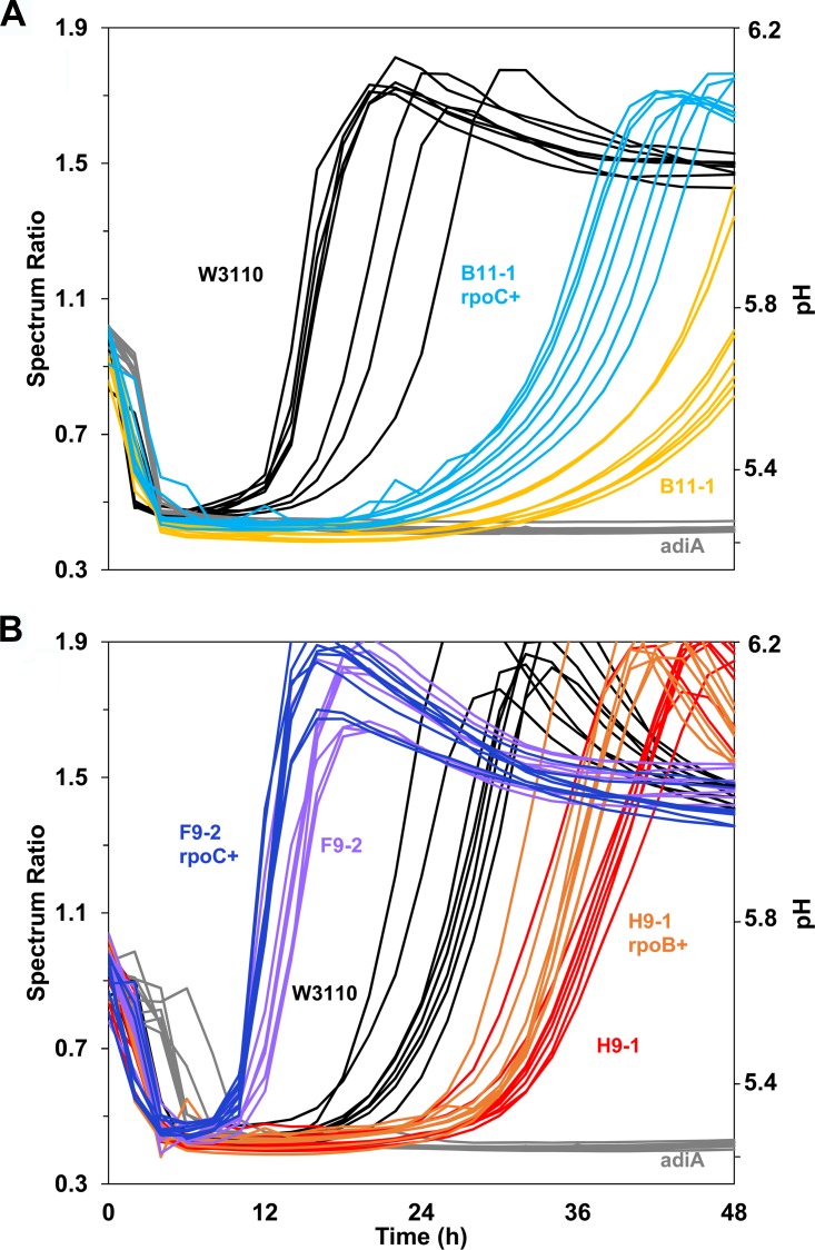 FIG 2