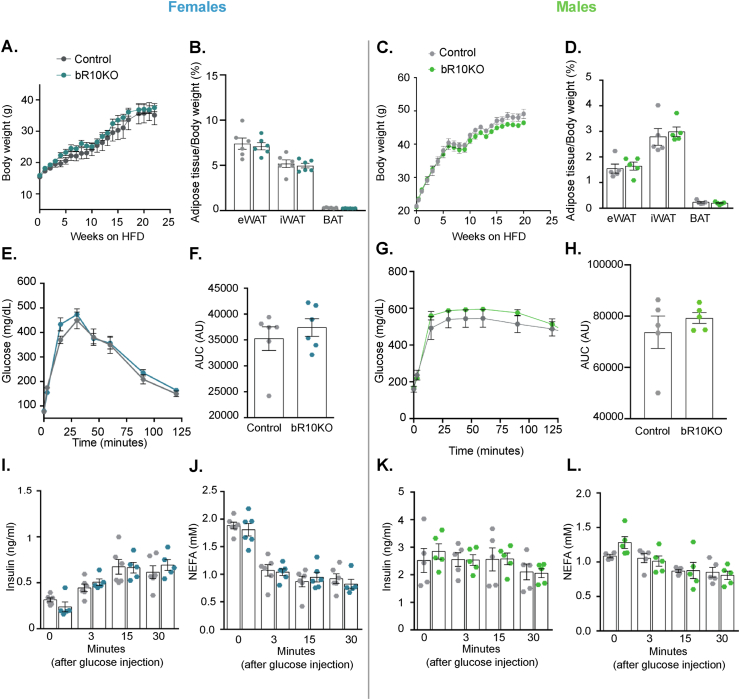 Figure 3