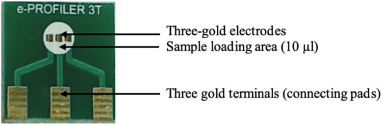 Fig. 1