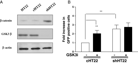 Fig. 4.