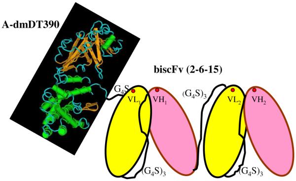 Fig. 2