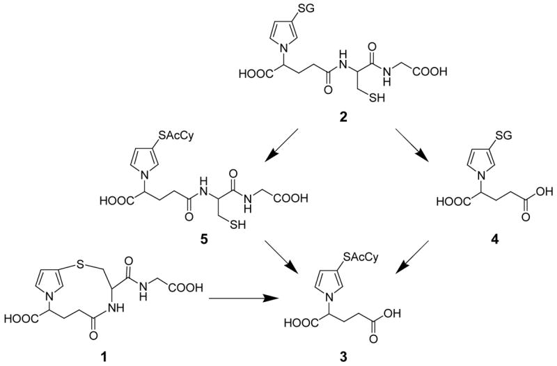 Scheme 2