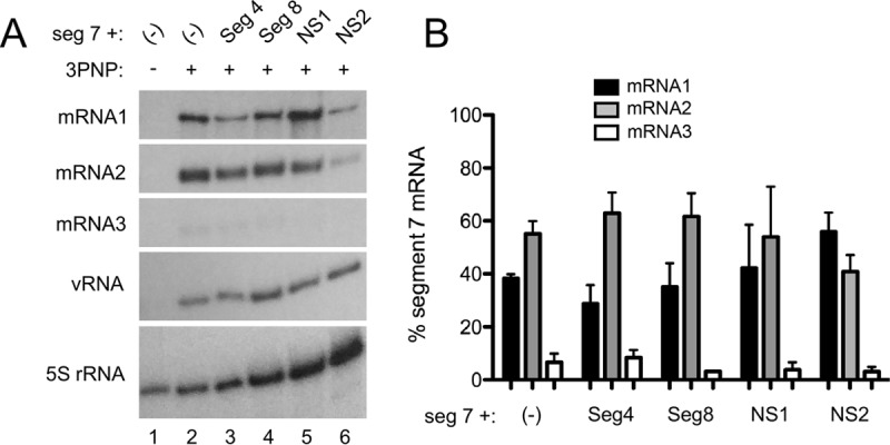 FIG 3