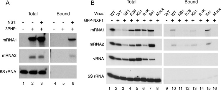 FIG 9