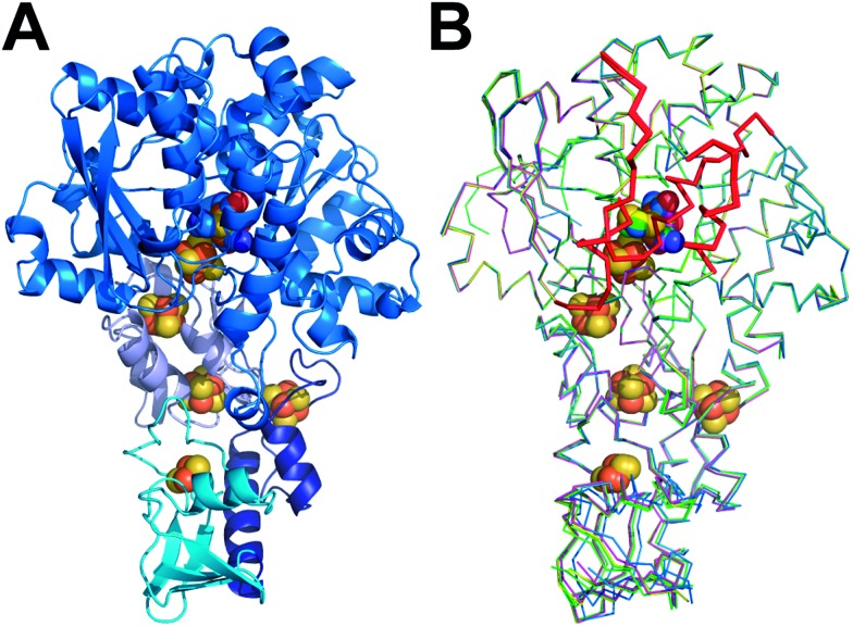 Fig. 1