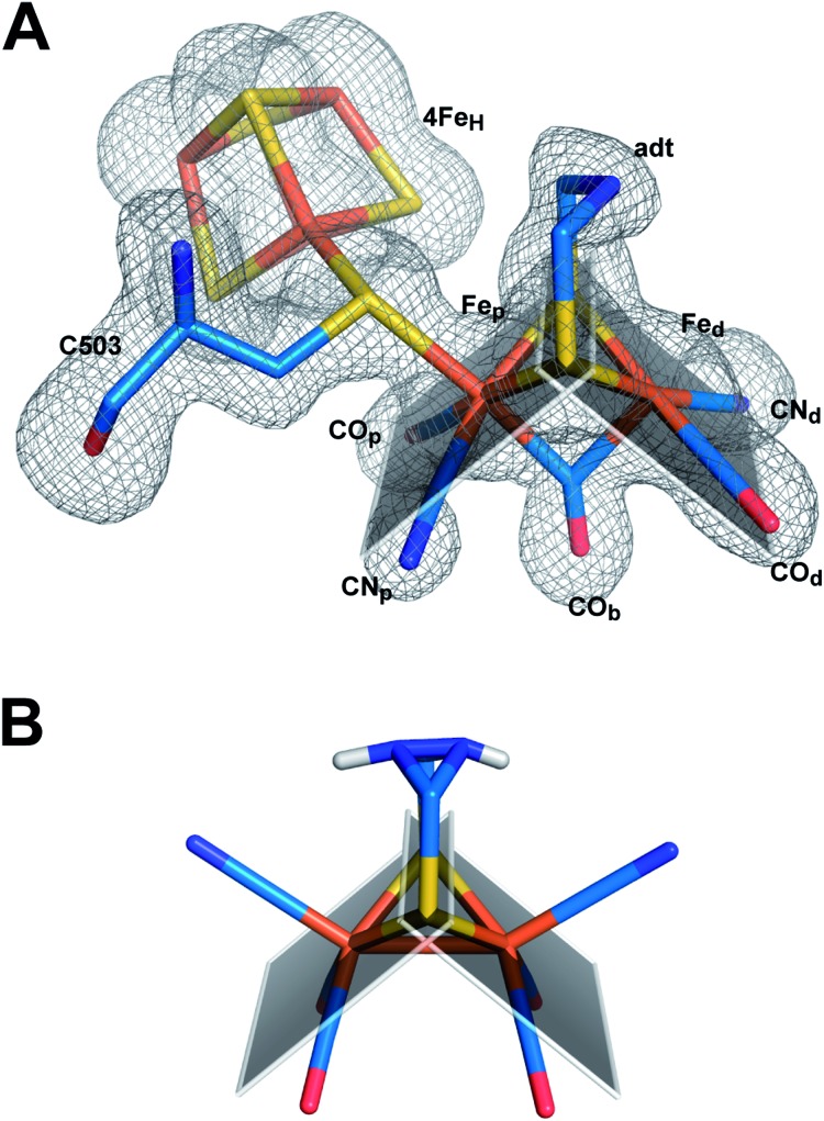 Fig. 4