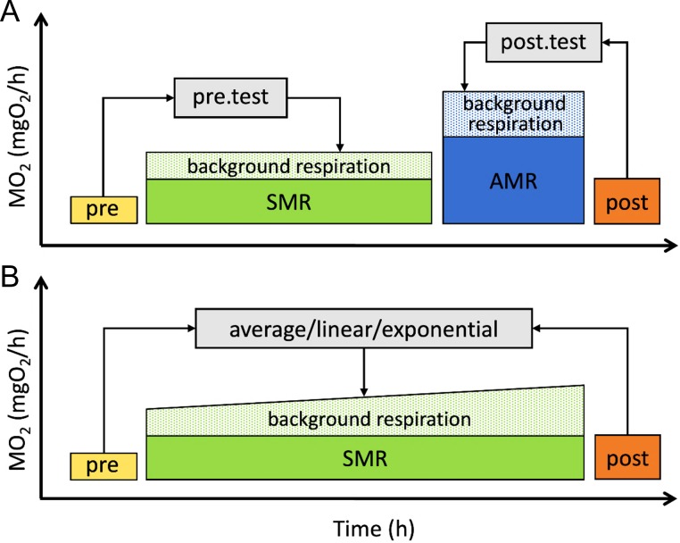 Figure 3: