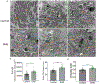 Figure 5: