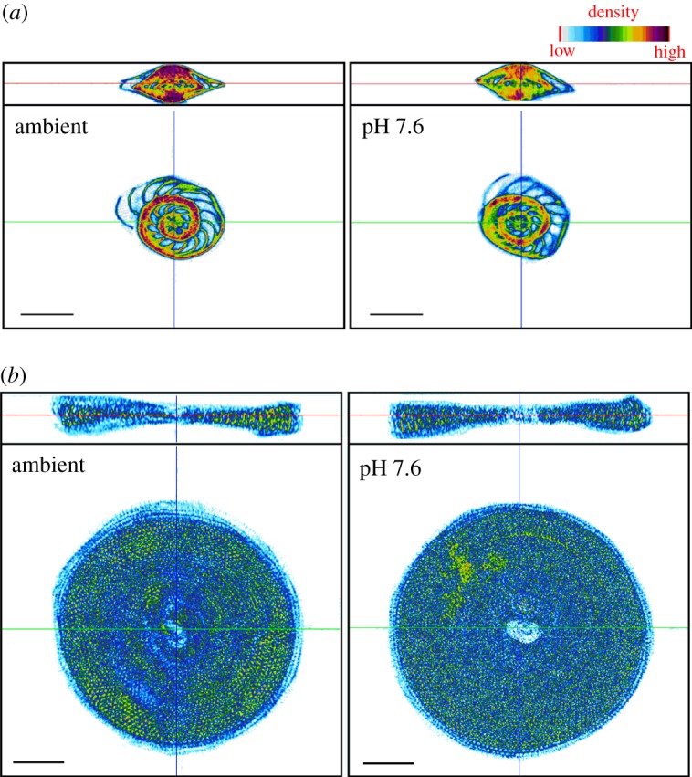 Figure 3.