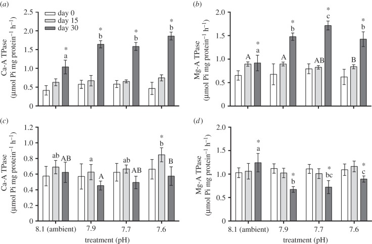 Figure 4.