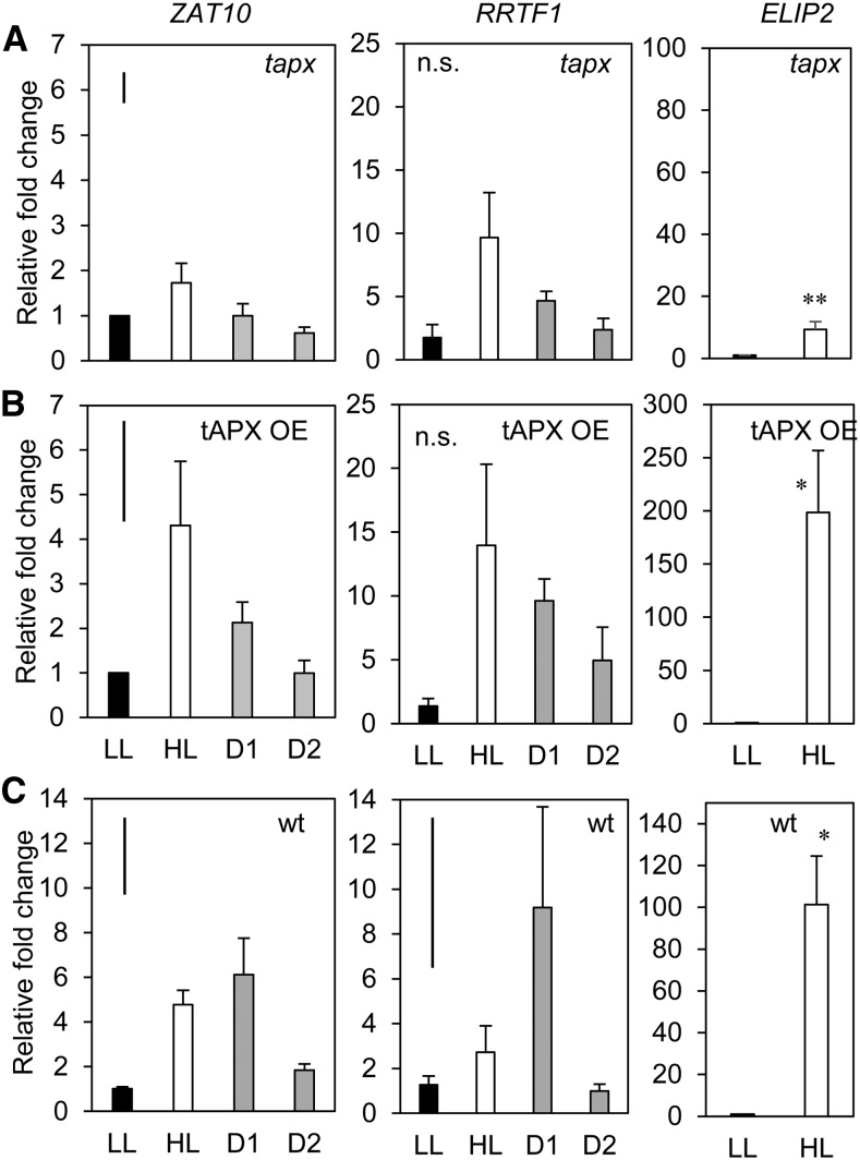 Figure 3.