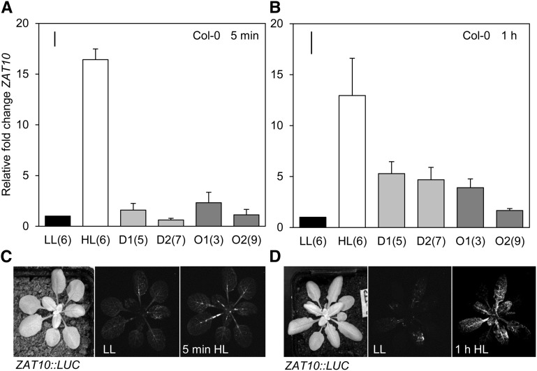 Figure 7.