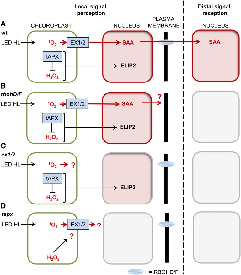 Figure 10.