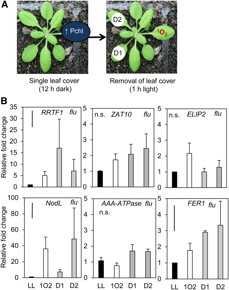 Figure 2.