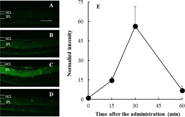 Fig. 2