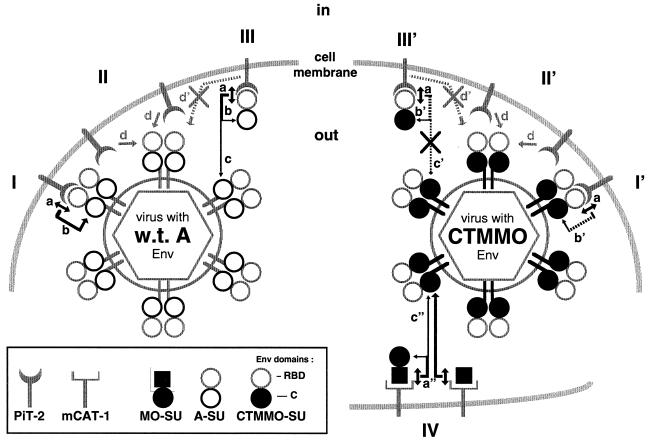 FIG. 6