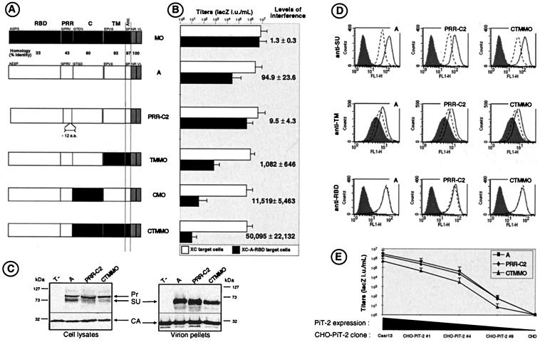 FIG. 1