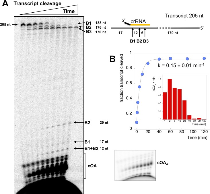 Figure 4.