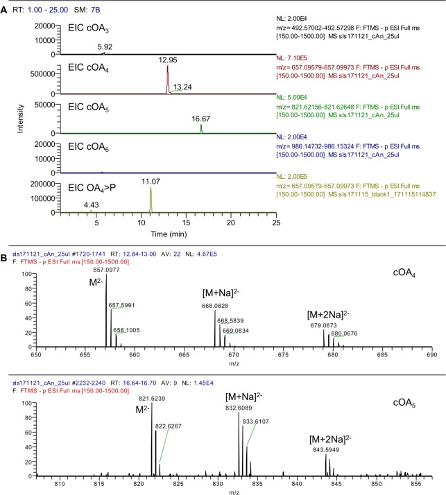 Figure 2—figure supplement 1.