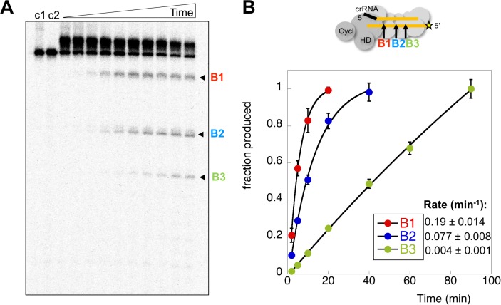 Figure 6.