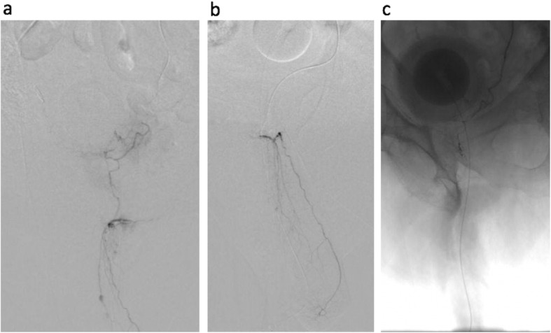 Fig. 5