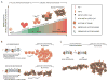 Key Figure, Figure 1