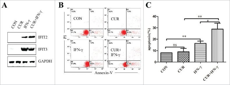 Figure 7.