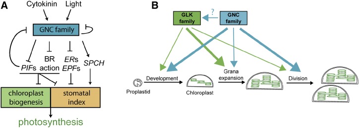 Figure 9.