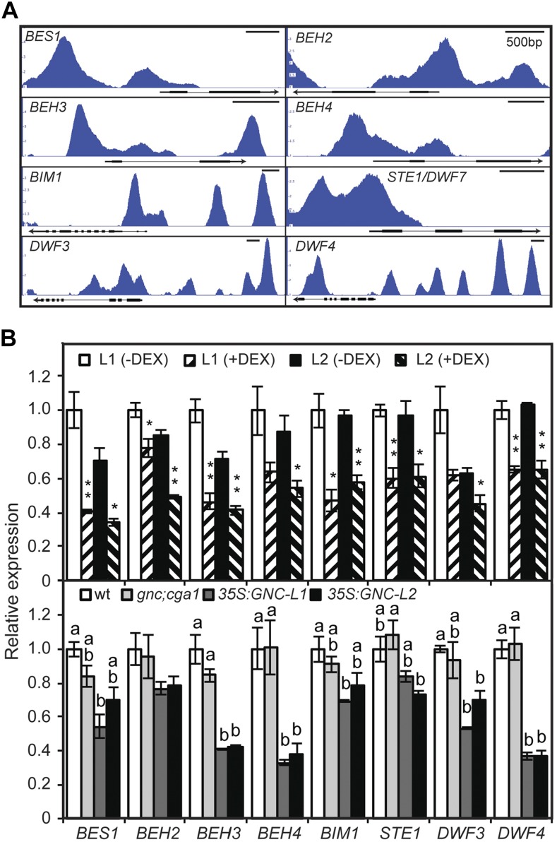 Figure 7.