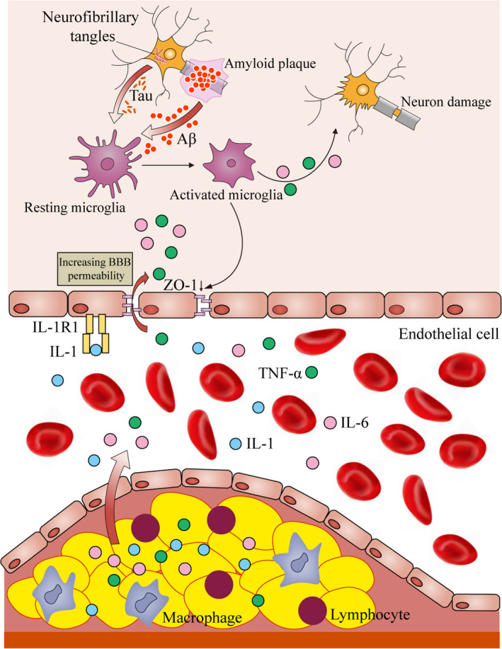 FIGURE 1