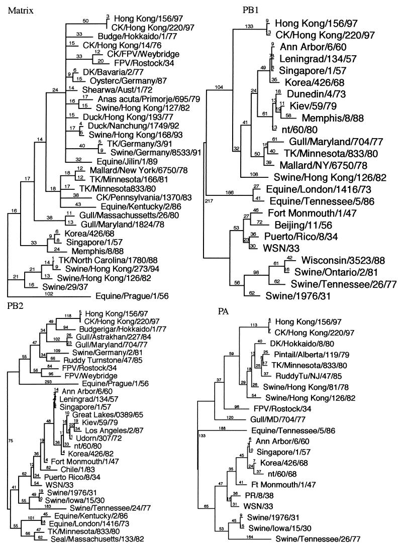 FIG. 1