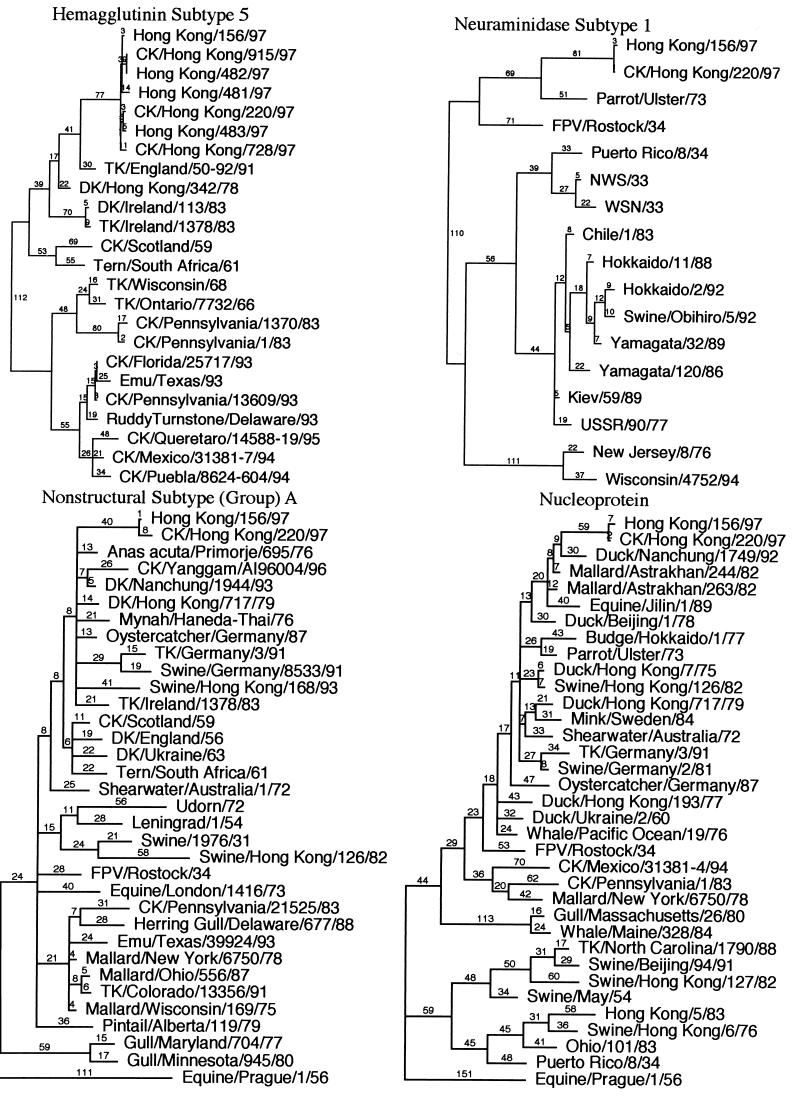 FIG. 1