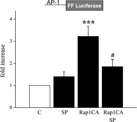 Fig. 5.