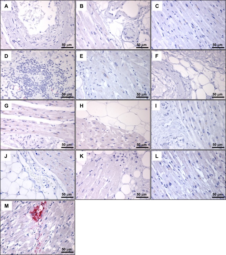 Figure 9.