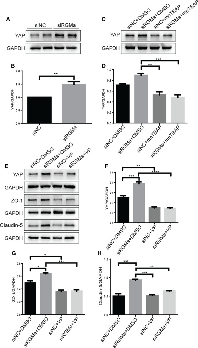 Figure 7