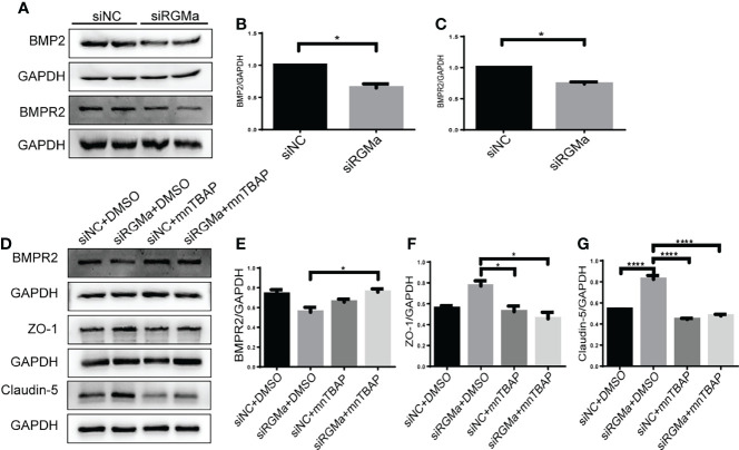 Figure 5