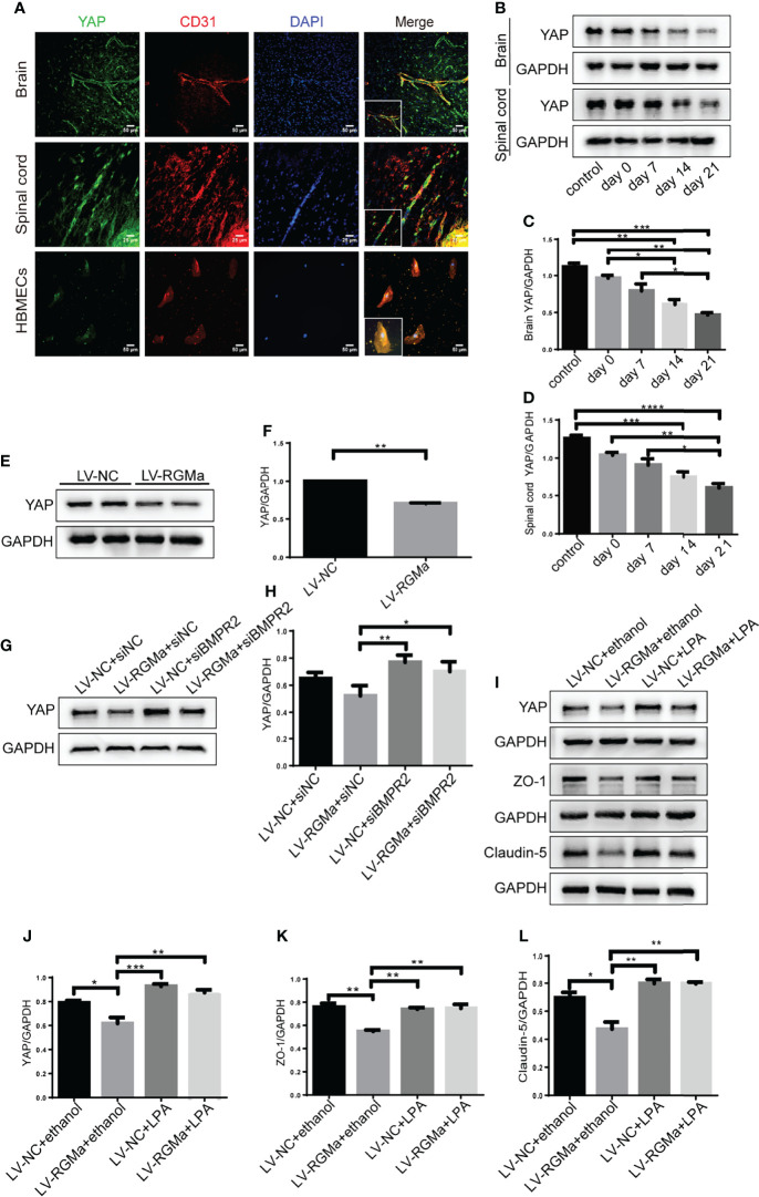 Figure 6