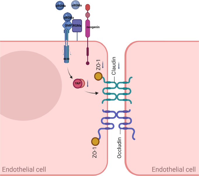 Figure 9