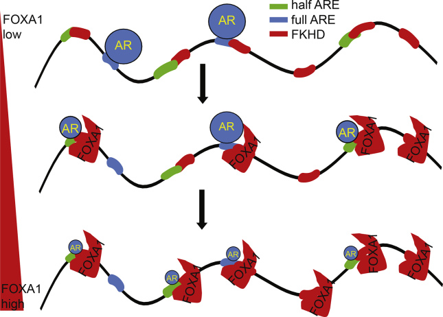 Figure 2