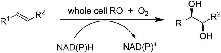 Scheme 17