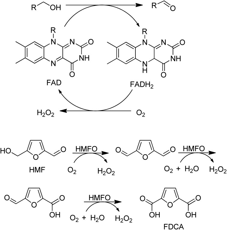 Scheme 10