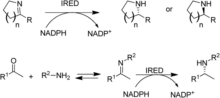 Scheme 7